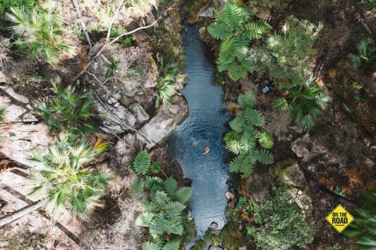 A real-life Jurassic Park-min