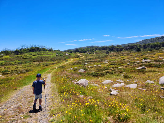 Alpine Adventures: Road Tripping through Victoria's High Country