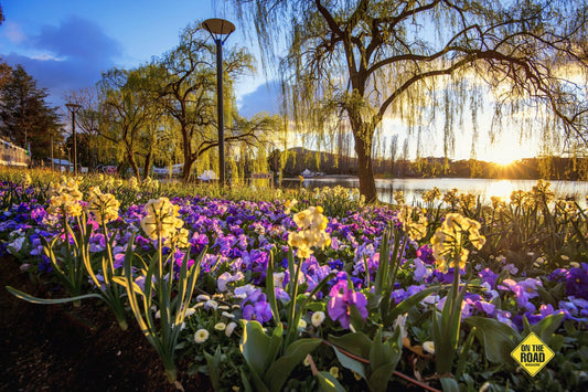 Floriade Flowers