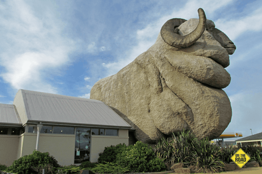 Meet _Rambo_, the world's biggest merino, at Goulburn visitor information centre in New South Wales.