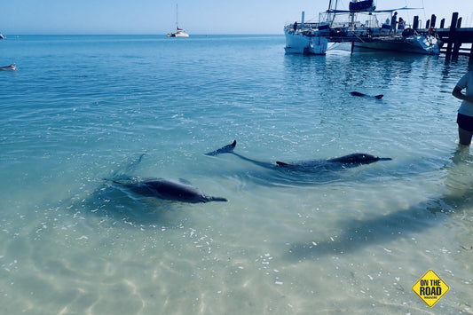 OTR-KiyaandPicolocominginfortheexperience