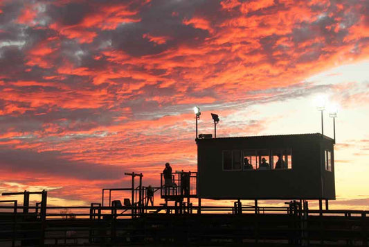 Sunset from the rodeo grounds