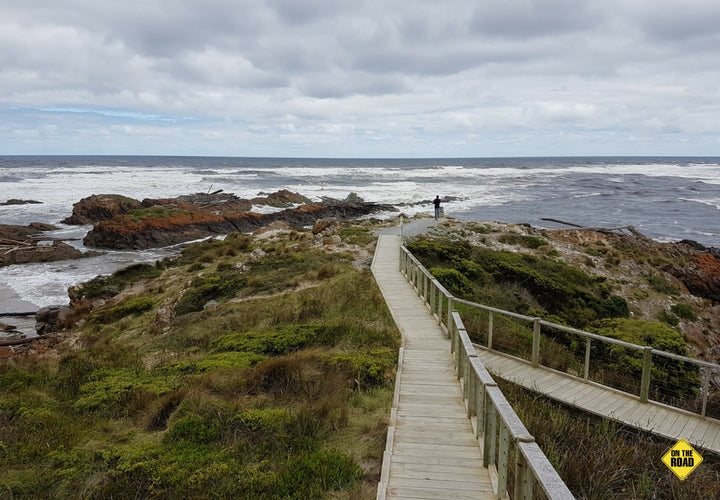 Tassie’s Wild, Wild West – On The Road