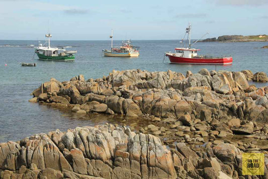 Fishing boats in Currie Harbour