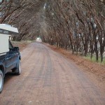 A typical road on beautiful Kangaroo Island.
