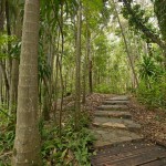Pathway at Tondoon Botanic Gardens, Gladstone, Queensland