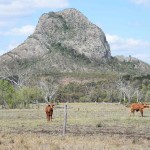 Calvert’s Peak (634m) on the Capella-Dysart Road is surrounded by grazing country.