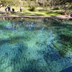 The Thermal Pool at Yarrangobilly is so clear!