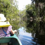 Canoes are a great way to see the Byfield rainforest up close and personal