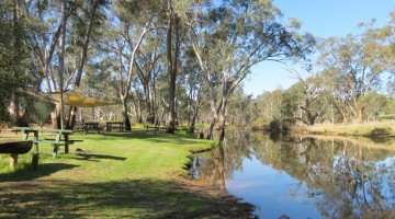 The Horse Hole, the local swimming hole in the Glenelg River beside the caravan park.
