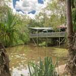 Cafe overlooking lake at Tondoon Botanic Gardens, Gladstone, Queensland
