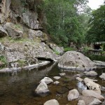 There are some beautiful spots to fish and visit on the Tarra River.