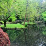 pond in Dandenongs - Alfred Nicholas Garden