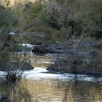 Head-upstream-in-the-Wallagaraugh-and-Genoa-Rivers-and-you-will-come-across-fresh-water-pools-many-holding-Aust-bass.