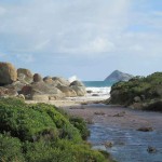 beautiful view at Wilsons Promontory