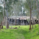 Old bridge on the Goulburn River offer good holding structure for fish