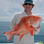 Red emperor are much sought after on the offshore reefs