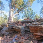 This natural rock formation is the viewing area at Sugar Gum Lookout