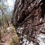 The Doctors Gully track skirting the base of the sandstone escarpment