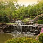 Waterfall in Japanese garden at Bundaberg Botanic Gardens