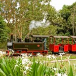Steam train travelling through Bundaberg Botanic Gardens