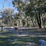 bush camping site