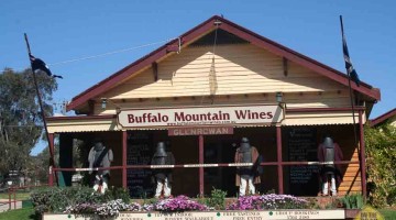 Buffalo Mountain Wines