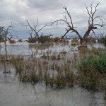 No shortage of water in Menindee Lakes on our previous visit
