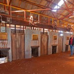 Woolshed in Currawinya National Park, outback Queensland