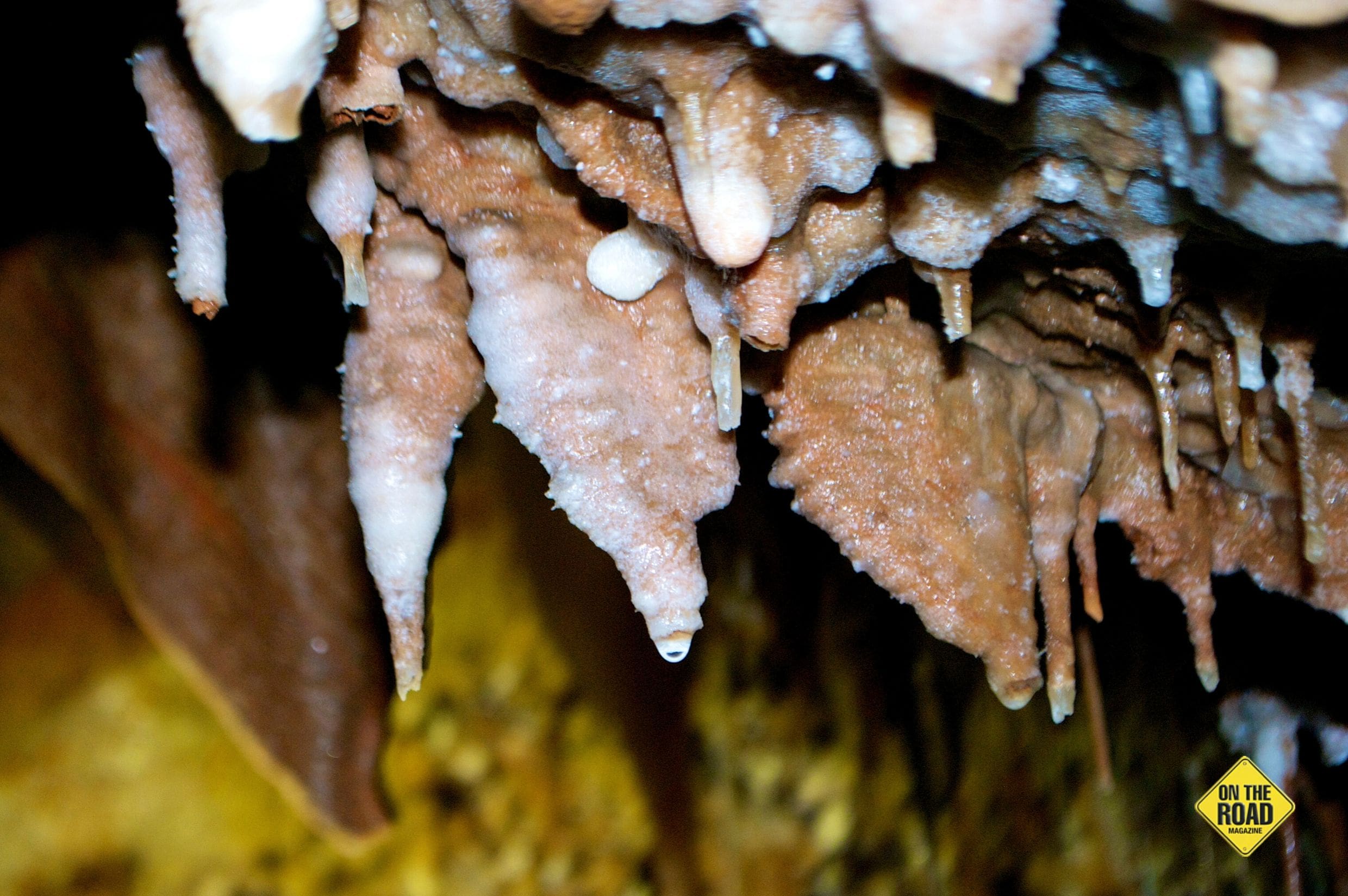 Dripping water from straw stalactites in the Royal Cave