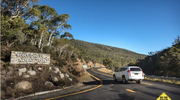 Digital entry coming to NSW National Parks